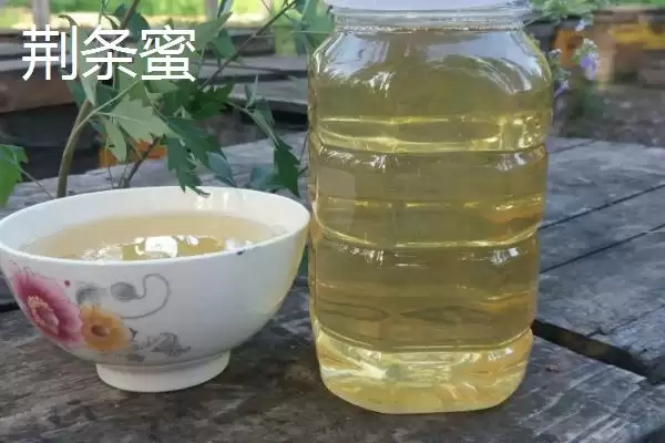 荆条蜜和槐花蜜的比较 ,荆条蜜和槐花蜜哪个更好呢插图3