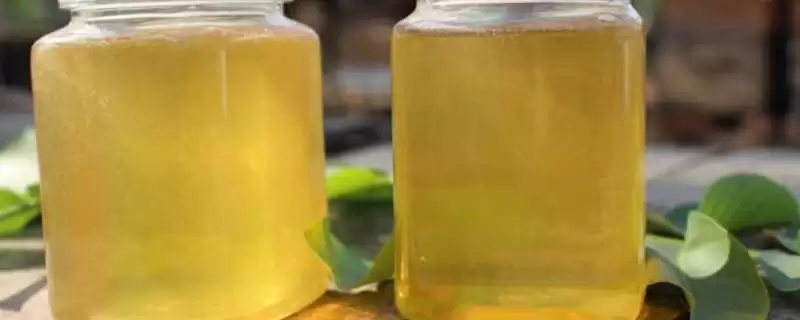 桐花蜜简介，蜜源包括玄参科泡桐、大戟科油桐等-会东网