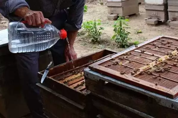 一箱意蜂一年可以分出几箱，正常情况下只分蜂一次插图7
