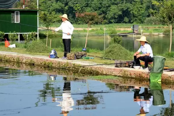 六月份钓鱼的水层选择 ,六月气候条件为何适合钓浮？插图2