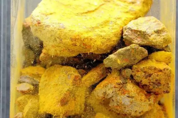 知悉蜈蚣惧怕对象的方法和重点？养鸡要做好哪些蜈蚣防治关联？插图1