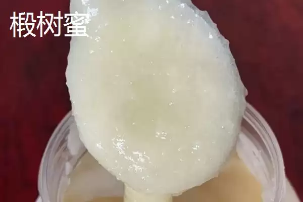 椴树蜜和土蜂蜜哪个好，前者在色泽上略胜一筹插图1