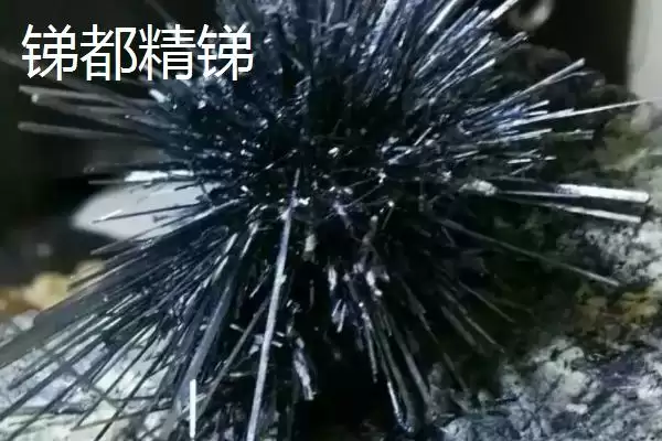 湖南冷水江市的特产，冷水江杨梅大如蛋插图6