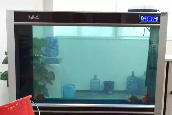 普通小鱼缸换水技巧：用管子抽水兑新水的正确方法插图3