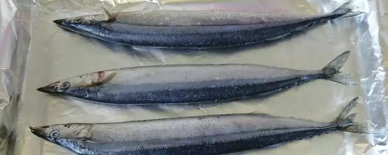 秋刀鱼的营养价值与食用建议：好吃但不可多吃的原因-会东网