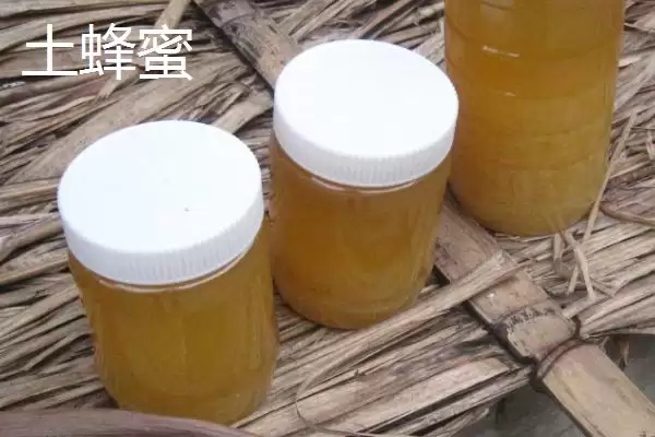 椴树蜜和土蜂蜜哪个好，前者在色泽上略胜一筹插图2