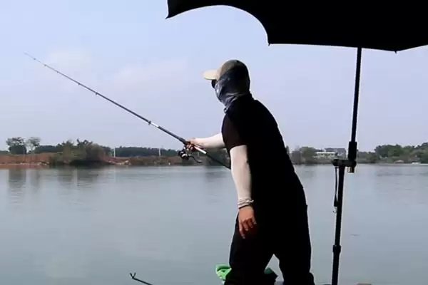 假红虫能不能用来钓鱼呢,假红虫能钓鱼但是相比效果不是太好插图3