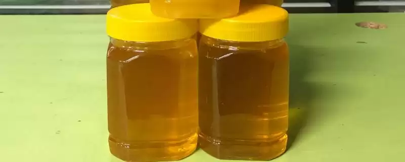 椴树蜜的价格，一般都在50元以上一斤-会东网