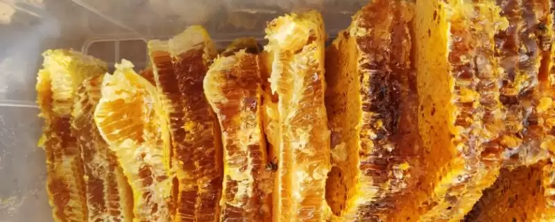 蜂蜜有几种颜色，主要有白色、水白色、琥珀色等7种颜色-会东网