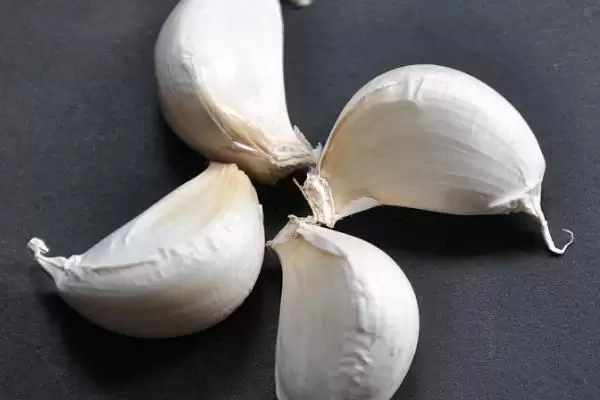 确定种大蒜时间的方法和重点？确定种大蒜时间要做好哪些细节？插图2