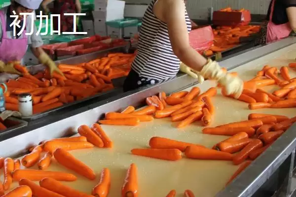 农产品深加工和初加工的差异剖析:加工程度和原料特性的不同插图2 农产品深加工和初加工的差异剖析:加工程度和原料特性的不同插图2