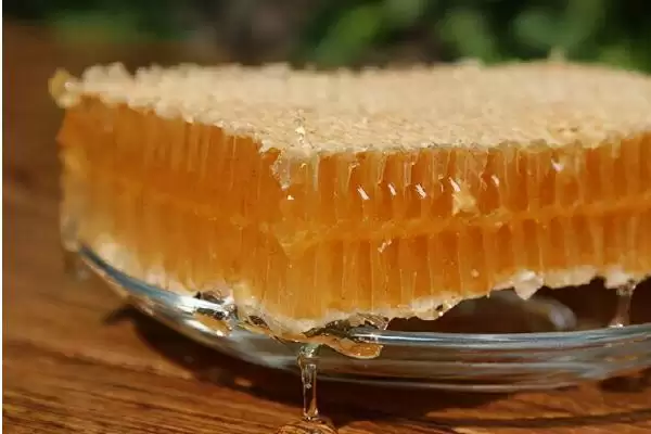 蜂巢蜜的食用方法，直接放在嘴中咀嚼即可插图1