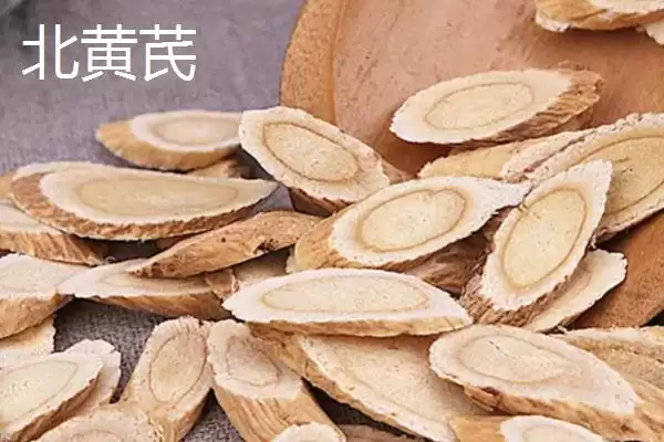 北芪与黄芪有什么区别，在药效上考虑不会有太大区别插图2