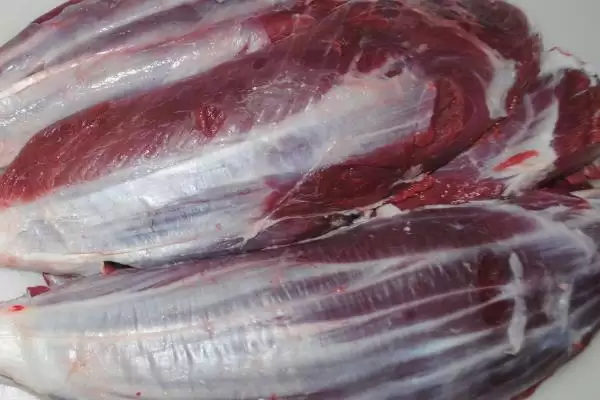 牛体内有多少牛腱子，4条腿上各有1个插图1