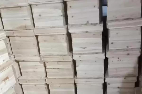 大蜂箱和小蜂箱哪种好，需根据蜂群的实际情况来选择插图3