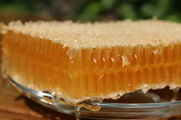 网上能否买到正宗的蜂巢蜜，可以买到但概率较低插图2