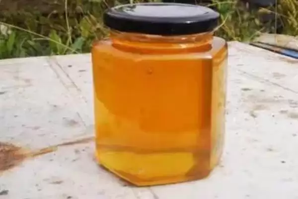 槐花蜜和枣花蜜对比，前者有槐花香味、后者有枣花香味插图3