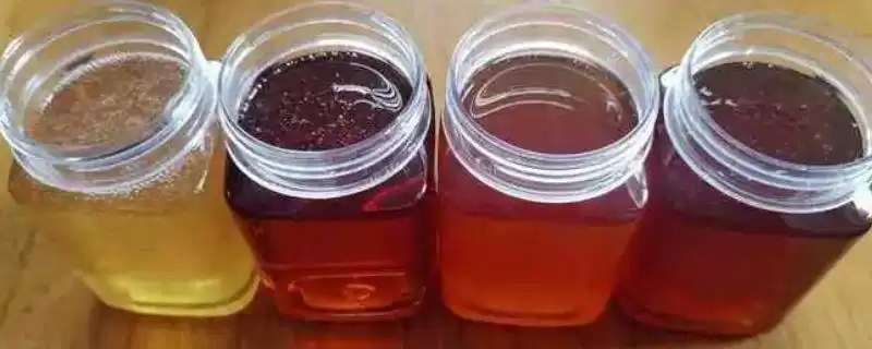 假蜂蜜怎么分辨，口感近似白糖水、具有不自然的香味-会东网