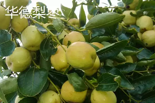 山西晋中市的特产，是国家级文化生态保护实验区插图3