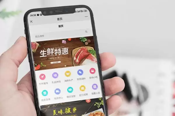 蔬菜卖不出去的情况下怎么办？应对蔬菜滞销要采取哪些有效的解决办法？插图4