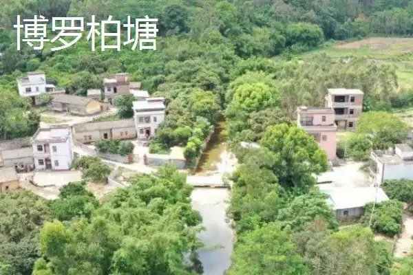 广东紫金县的特产，八刀汤是当地的招牌美食插图14