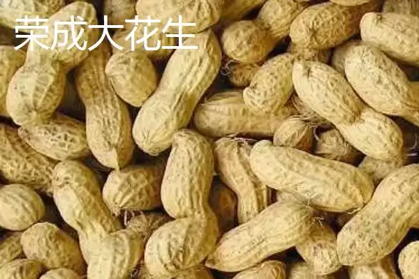 山东荣成的特产，荣成海参堪称参中之王插图4