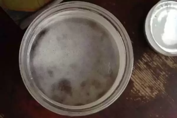 吃了变质蜂蜜会怎样，会影响肠胃功能插图5