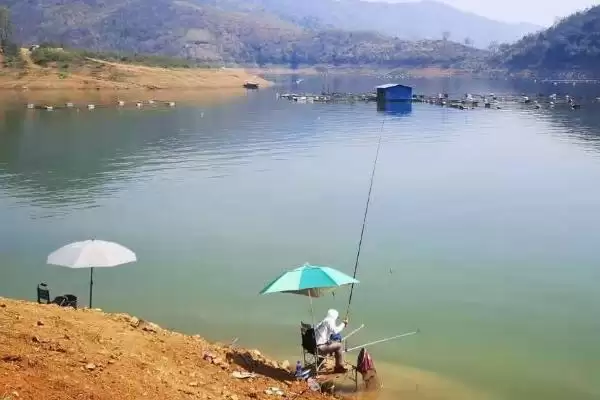 牛尾巴鱼的故乡寻踪:黄河流域和东北江河的分布秘密插图3 牛尾巴鱼的故乡寻踪:黄河流域和东北江河的分布秘密插图3