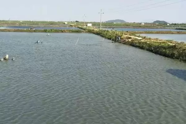 挖鱼塘的土地学问：除基本农田外的审批与选择插图2