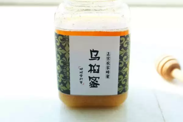 乌桕蜜的产量，一般可达到40-60斤左右插图1