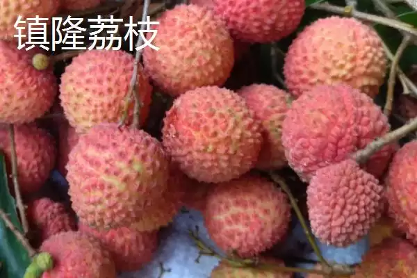 广东紫金县的特产，八刀汤是当地的招牌美食插图12
