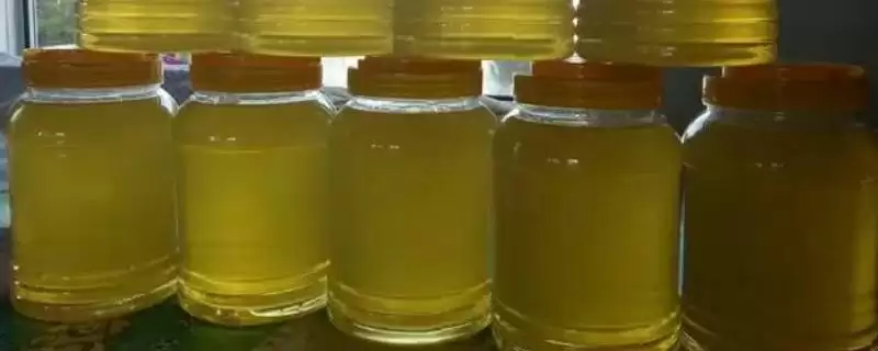 椴树蜜和槐花蜜哪个好，后者口感和色泽都要更好-会东网