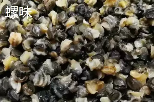 天气冷鲤鱼吃什么味型的饵料，首选蚯蚓、天下鲤等插图2