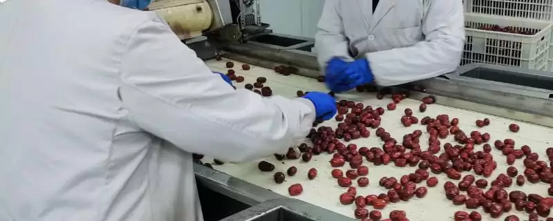 农产品深加工和初加工的差异剖析：加工程度和原料特性的不同-会东网