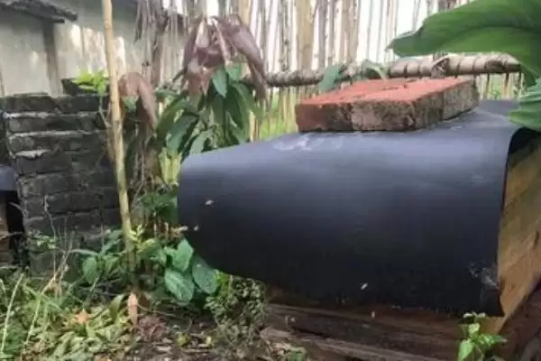 夏季快速繁中蜂的方法，要做好防暑降温工作插图1