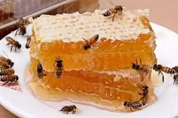 蜂巢蜜里面的蜂蜡能不能吃，可以食用但口感不佳插图3