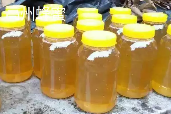 广东省高州市的特产，储良龙眼是著名优良品种插图6