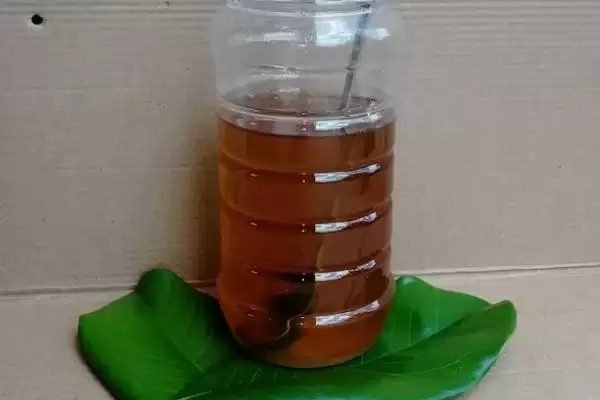 乌桕蜜的产量，一般可达到40-60斤左右插图6