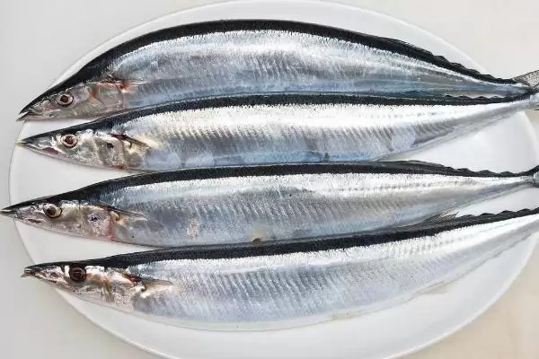 秋刀鱼的营养价值与食用建议：好吃但不可多吃的原因插图1