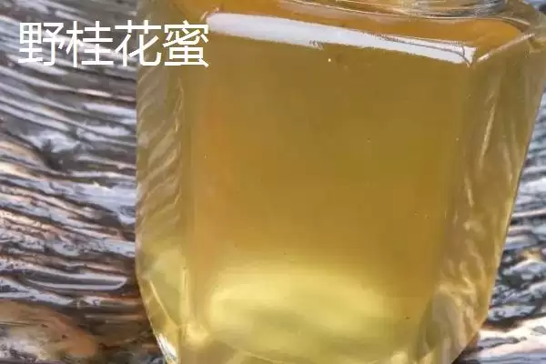 椴树蜜和野桂花蜜哪个更好，野桂花蜜的口感略胜一筹插图2