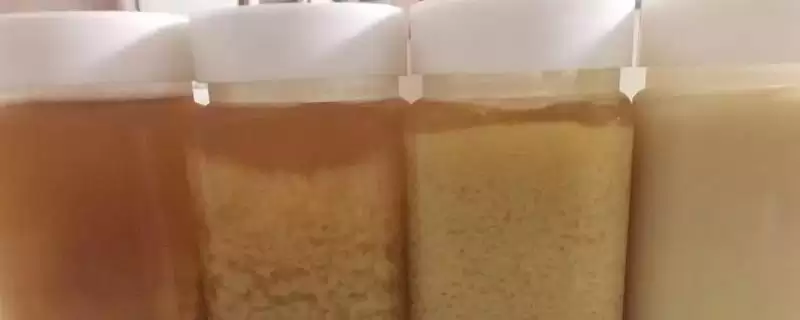 蜂蜜结晶要如何处理，气温升高后可自行恢复-会东网