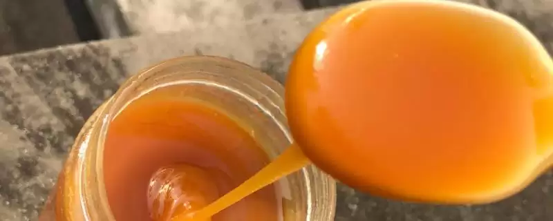 黑蜂蜂蜜简介，是黑蜂采集植物花蜜酿制成的-会东网