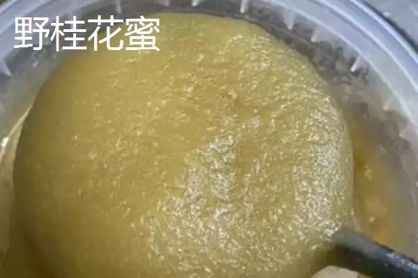野桂花蜜的价格，一般60-80元一斤插图2