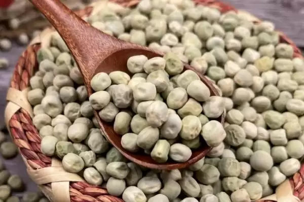 蔬菜种子如何催芽?催芽蔬菜种子要掌握哪些科学的催芽方法和步骤?插图2 蔬菜种子如何催芽?催芽蔬菜种子要掌握哪些科学的催芽方法和步骤?插图2