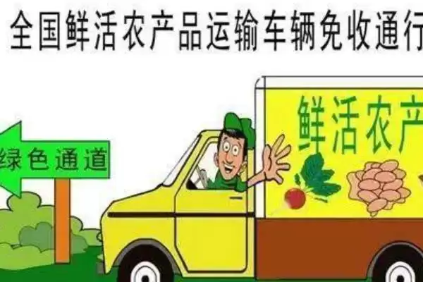 蔬菜卖不出去的情况下怎么办?应对蔬菜滞销要采取哪些有效的解决办法?插图7 蔬菜卖不出去的情况下怎么办?应对蔬菜滞销要采取哪些有效的解决办法?插图7