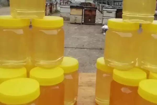 不结晶的荆条蜜是不是假货，一般是假冒产品插图1