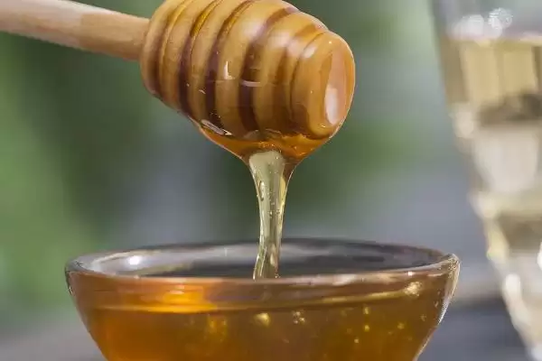 益母草蜂蜜简介，是蜜蜂采集益母草花蜜酿成的插图2