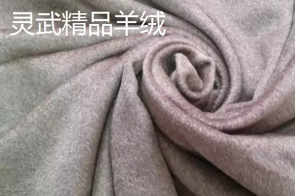 宁夏特产明星:灵武长枣成为中国国家地理标志产品的传奇插图6 宁夏特产明星:灵武长枣成为中国国家地理标志产品的传奇插图6