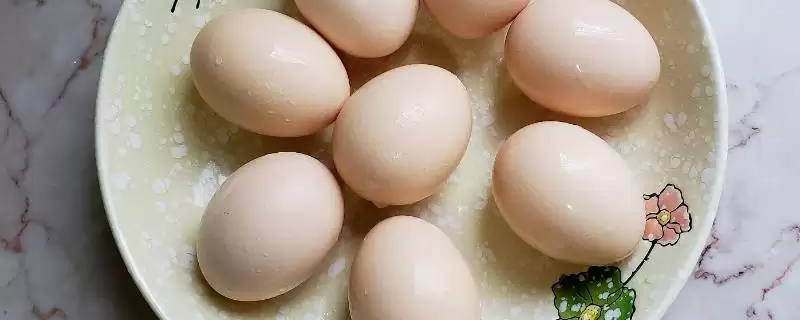 判断鸡蛋是否变质的方法和重点？养鸡要做好哪些蛋类品质把控？-会东网