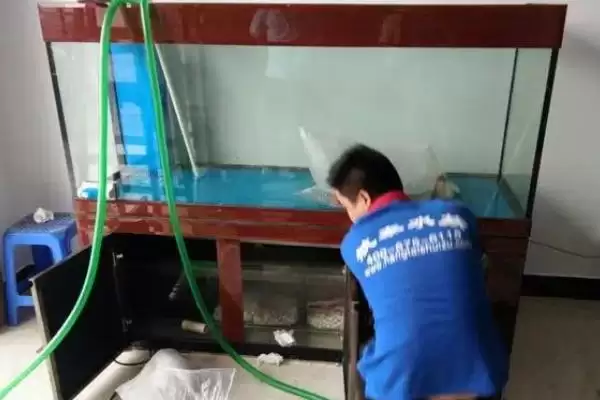 旧鱼缸的清洗方法 ,清洗旧鱼缸需要先做什么准备呢？插图1